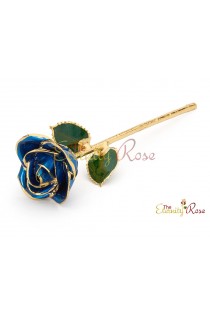 dark blue rose