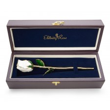 White Tight Bud Glazed Rose Trimmed with 24K Gold 12"