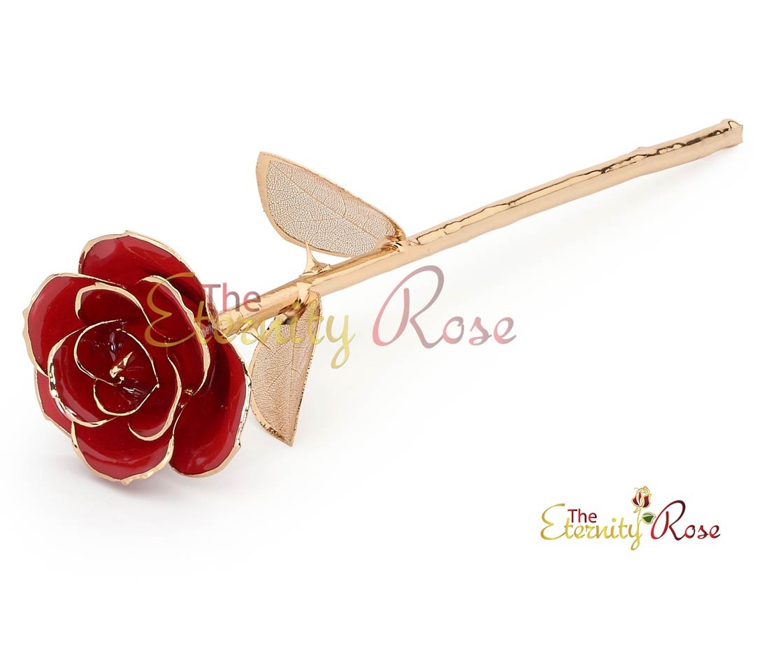 single red rose