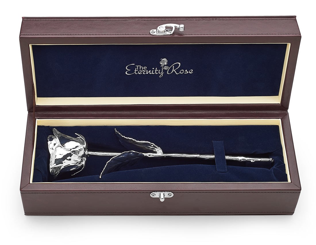 Silver wedding anniversary gift